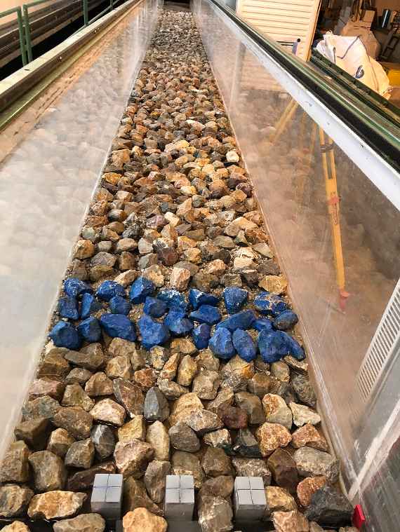 Man sieht eine 54 cm breite Rinne mit Glaswänden in der auf über 8 m Länge etwa 5 cm große Steine liegen. Der Modellbeginn ist mit drei Reihen blau gefärbter Steine gekennzeichnet. Der Blick geht in Fließrichtung.