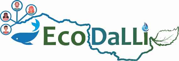 Logo EcoDaLLi