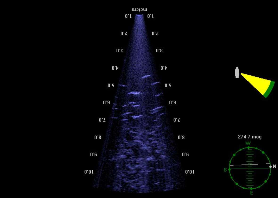 The picture shows a monitor image from the echo sounder. DIDSON is a type of imaging sonar that sends out sound pulses and converts the returning echoes, here mainly meaning the fish, into digital images, similar to a medical ultrasound sonogram. The background of the image is black, the beam runs pyramid-shaped from top to bottom. It thus becomes wider towards the bottom and is coloured purple. Many fish can be seen in the measuring beam. On the left and right are the water depths. On the right of the photo you can see the measuring direction of the echo sounder in yellow, which points diagonally downwards to the right. Below that is a green circle with individual dots. This is the compass display for the boat's direction of travel.