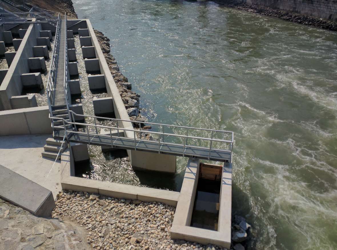 The picture shows the fish ladder from the Danube Canal to the Danube in Vienna. The fish ladder on the left of the picture consists of several concrete basins that rise in steps from the Danube Canal to the Danube. Water flows through these basins. On the right side of the picture flows the Danube Canal.