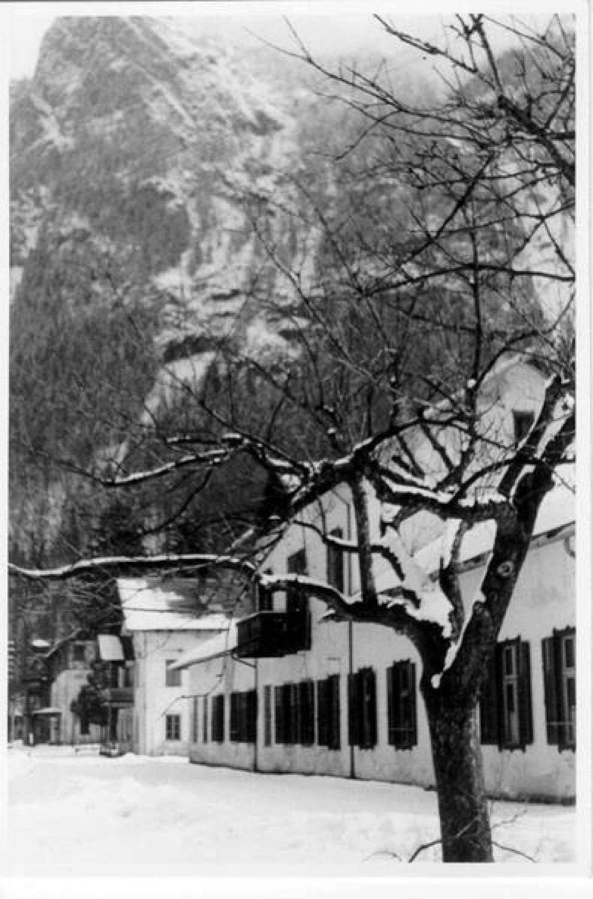 You can see the institute building in Weissenbach am Attersee. On the right of the picture is a tree, behind it a mountain. The photo was taken in winter, there is snow everywhere.
