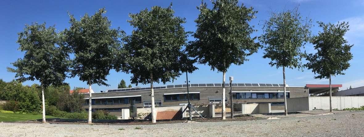 The image shows the tree-lysimeter installation. Six trees stand next to each other in a row. Behind them is a building in cloudy and somewhat sunny weather.