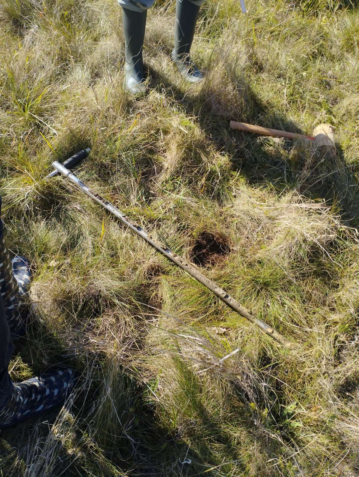 Durch vegetationsökologische und bodenhydrologische Aufnahmen an den Pilotstandorten, wie hier mittels Bodenstecher in einer Moorfläche, soll eine Erfolgskontrolle der Wiederherstellungsmaßnahmen ermöglicht werden.