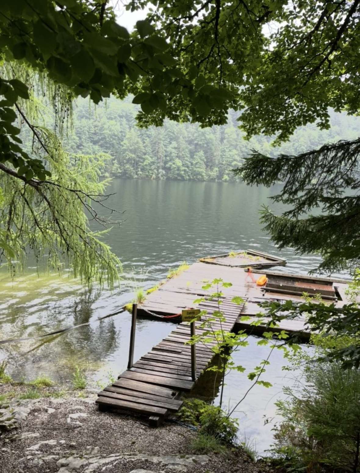 Puplikum Platz 4: Holzsteg mit kleinem Boot am Ufer eines ruhigen Sees, umgeben von dichtem Grün und überhängenden Ästen.