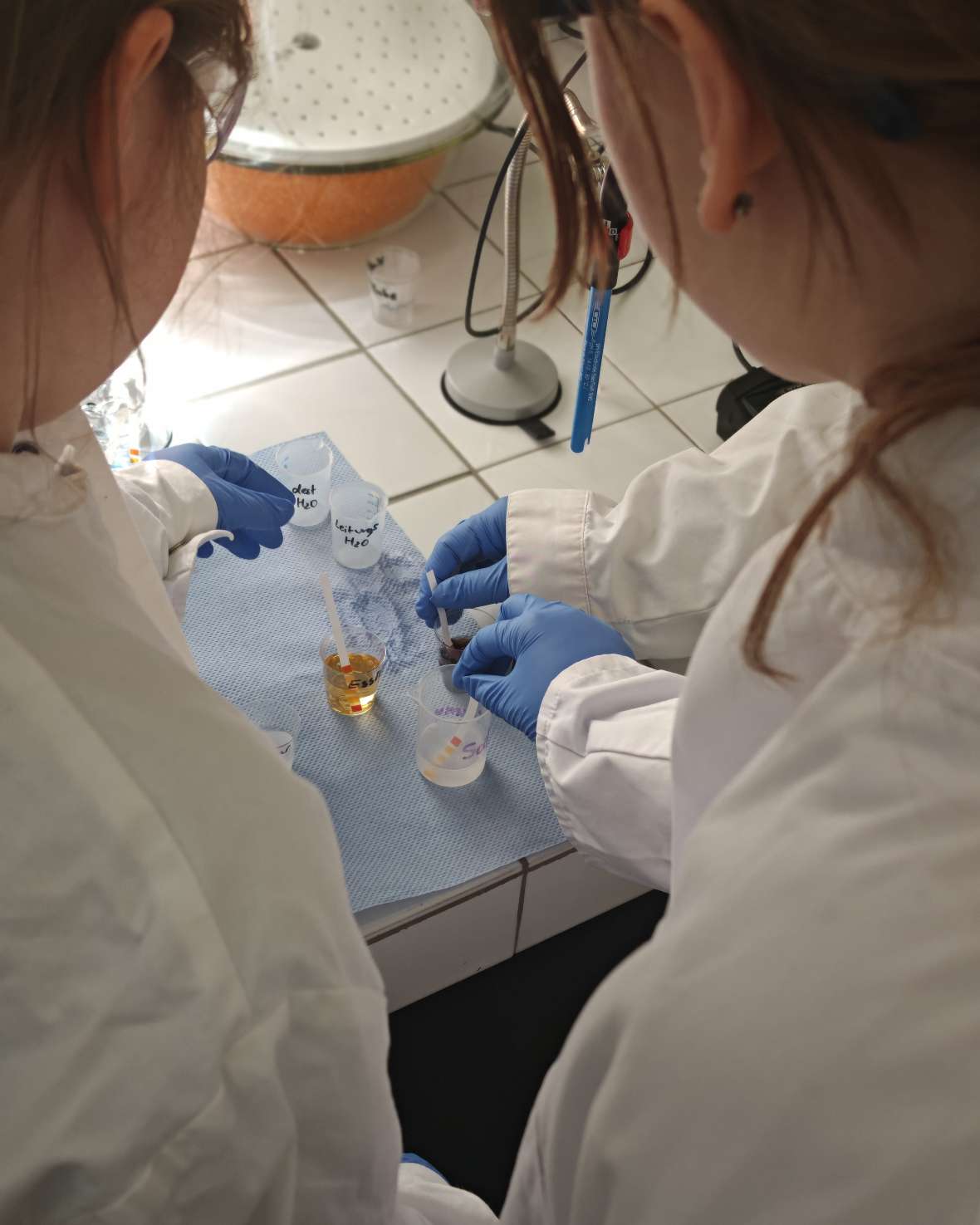 Zwei Mädchen in weißen Laborkitteln und blauen Handschuhen arbeiten an einem Labortisch mit mehreren beschrifteten Bechern und einem Messzylinder