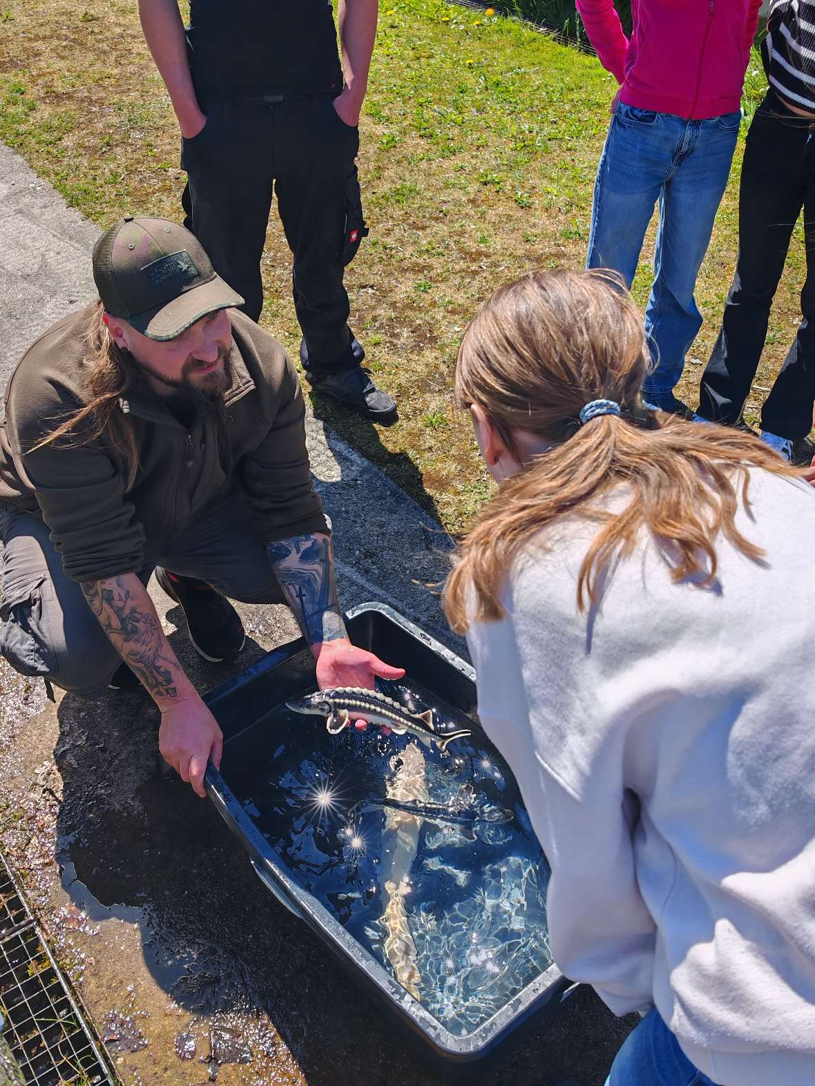 Mehrere Personen stehen um eine mit Wasser gefüllte schwarze Wanne, in der ein BAW-Mitarbeiter einen Fisch den Mädchen zeigt.