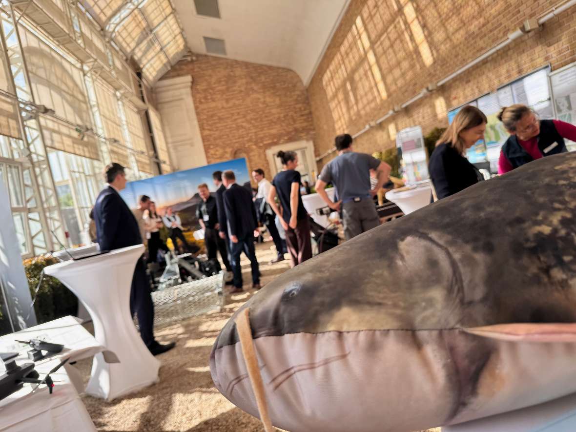 Schnappschuss in die Menge mit einem Stofffisch im Vordergrund. 