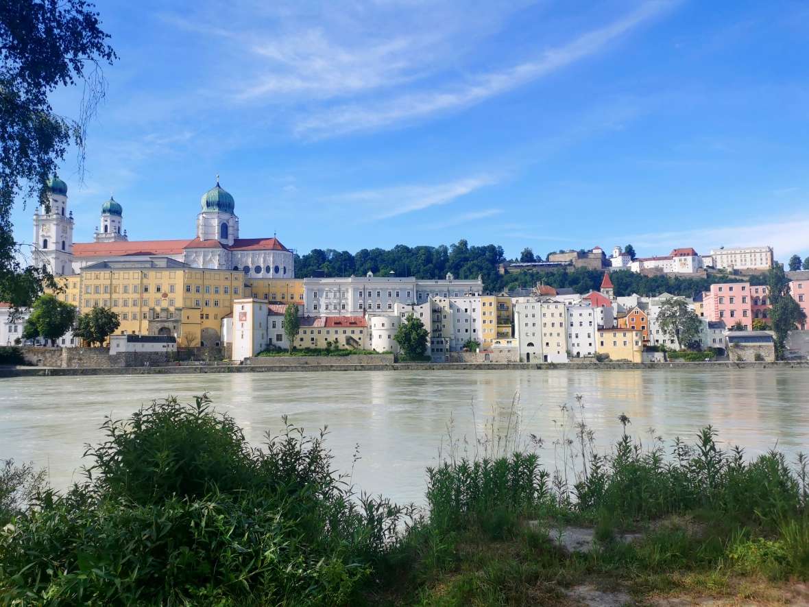 Passau: Flussufer mit grünen Pflanzen im Vordergrund und die historische Stadt Passau am gegenüberliegenden Ufer unter blauem Himmel.