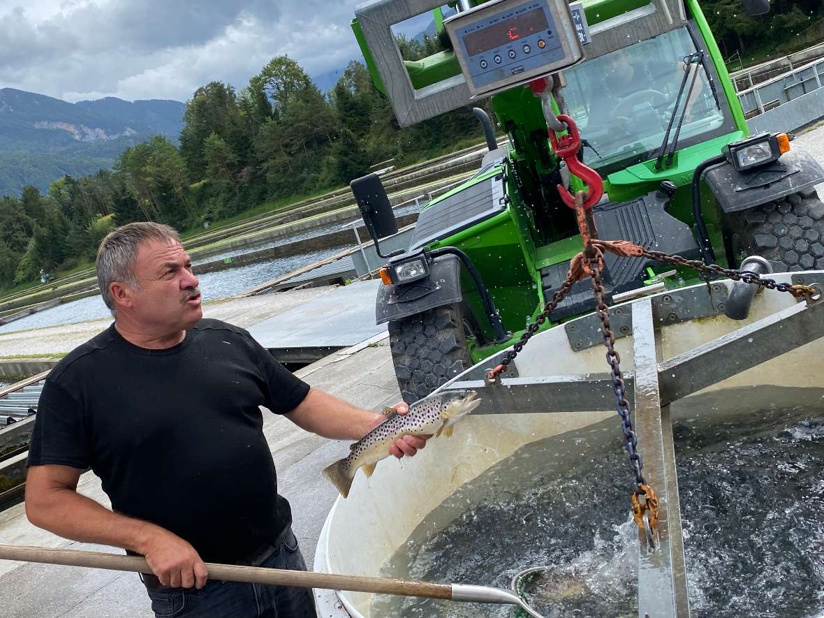 Erich und Bernhard Glück führten durch ihre Anlage in Friesach. Der Vortragende hat einen Fisch in der Hand und im Hintergrund sind die Teiche zu sehen.