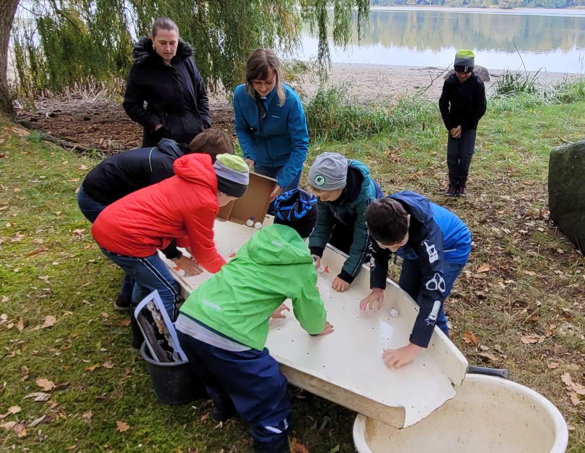 In verschiedensten Spielen lernen die Kinder die Arbeitsschritte einer Karpfenteichabfischung kennen.