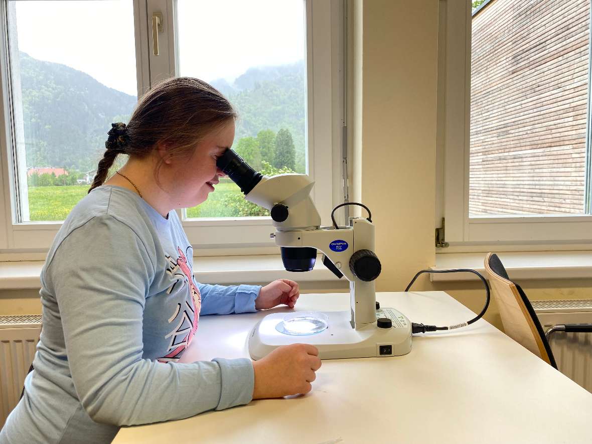 Eine Schülerin beim Begutachten von Plankton durch das Mikroskop.