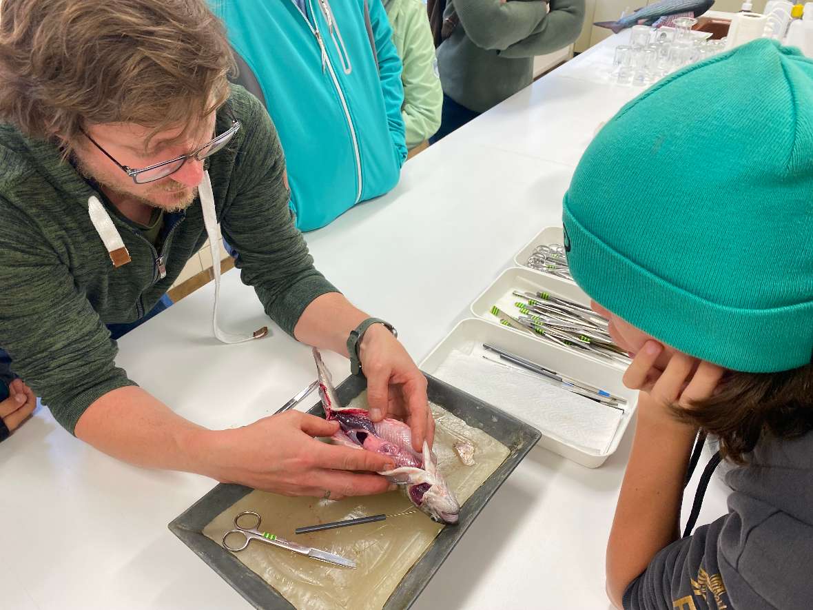 Mitarbeiter Florian Keil zeigt einem Schüler anhand einer Forellensektion die inneren Organe des Fisches. 