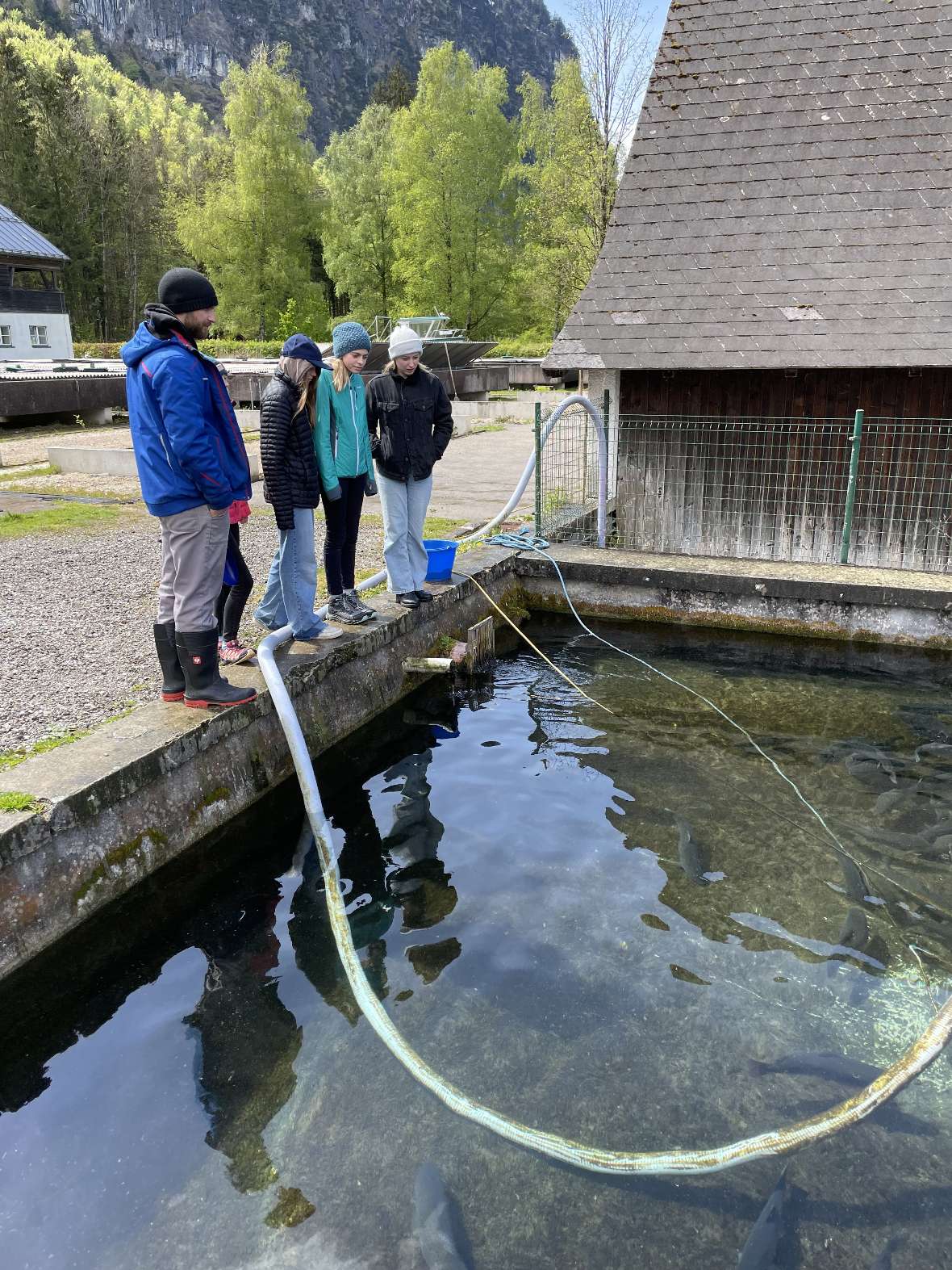 Die Mädchen stehen am Rand eines Teiches und begutachten die Mutter-Fische im großen Teich.