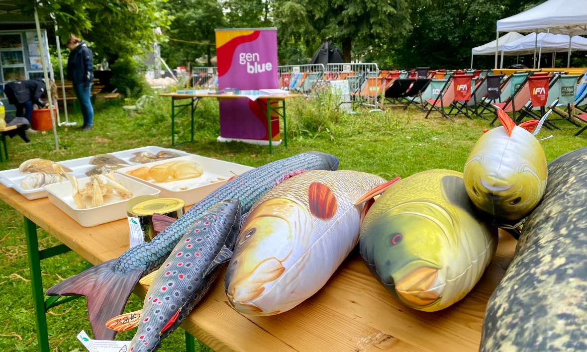 Anschauungsmaterialien zur Anatomie von Fischen und Stofftier-Fische befinden sich am Tisch des Veranstaltungsstandes. 