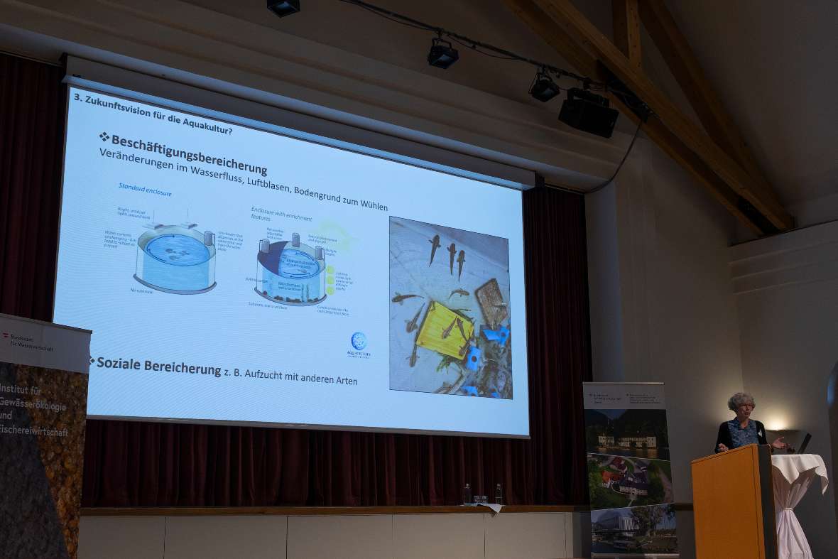 Eva Lewisch (Vetmeduni Wien) über Aspekte des Tierwohls in Fischerei und Aquakultur.