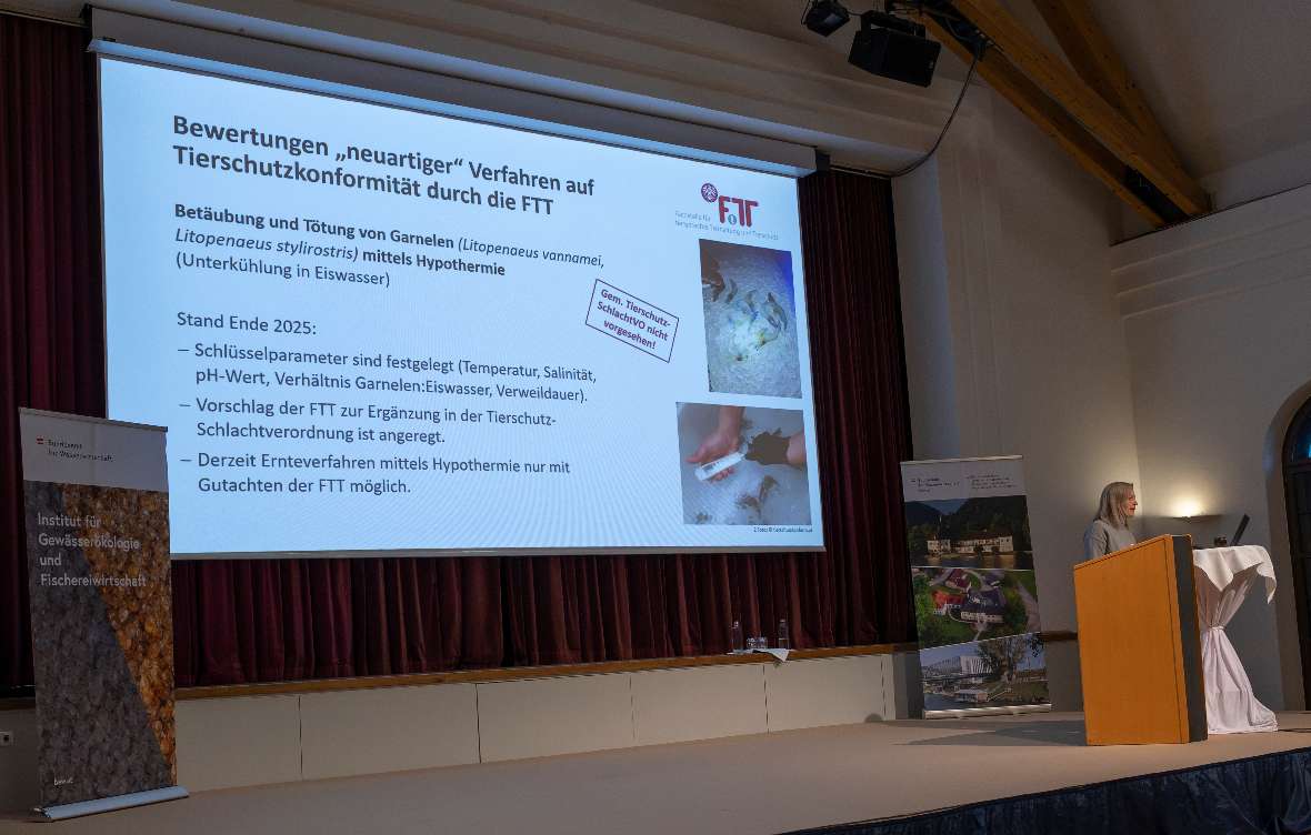 Katrina Eder (Fachstelle für tiergerechte Tierhaltung und Tierschutz) sprach über Betäuben und Töten von Garnelen und Welsen.