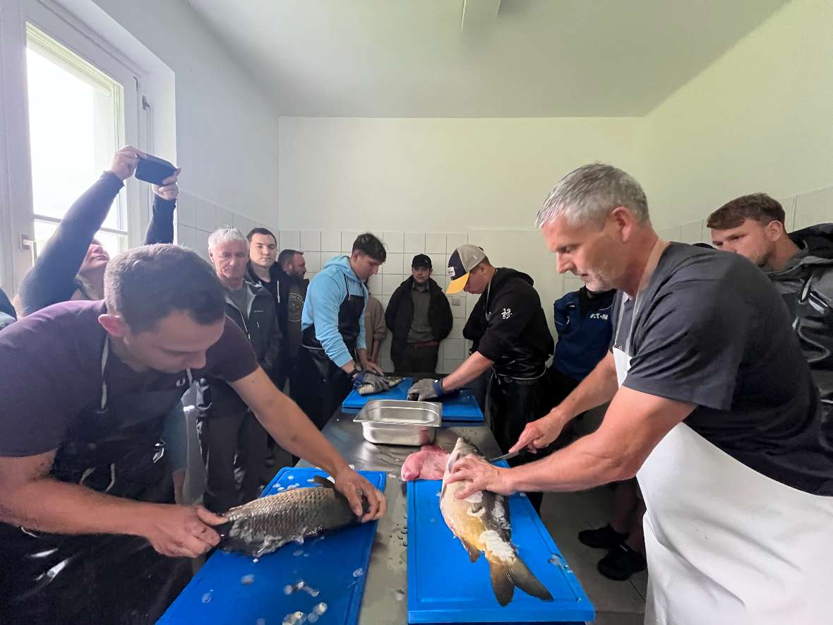 Mehrere Personen in einem Verarbeitungsraum filetieren Fische auf blauen Schneidebrettern, einige beobachten und fotografieren den Vorgang.