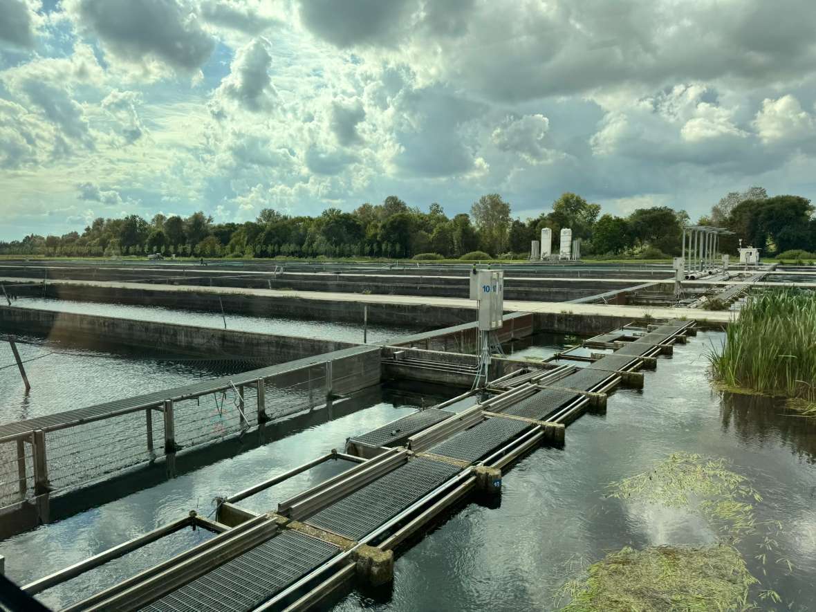 Wasserbecken mit Stegen und Metallgittern unter bewölktem Himmel, im Hintergrund Bäume und Silos.