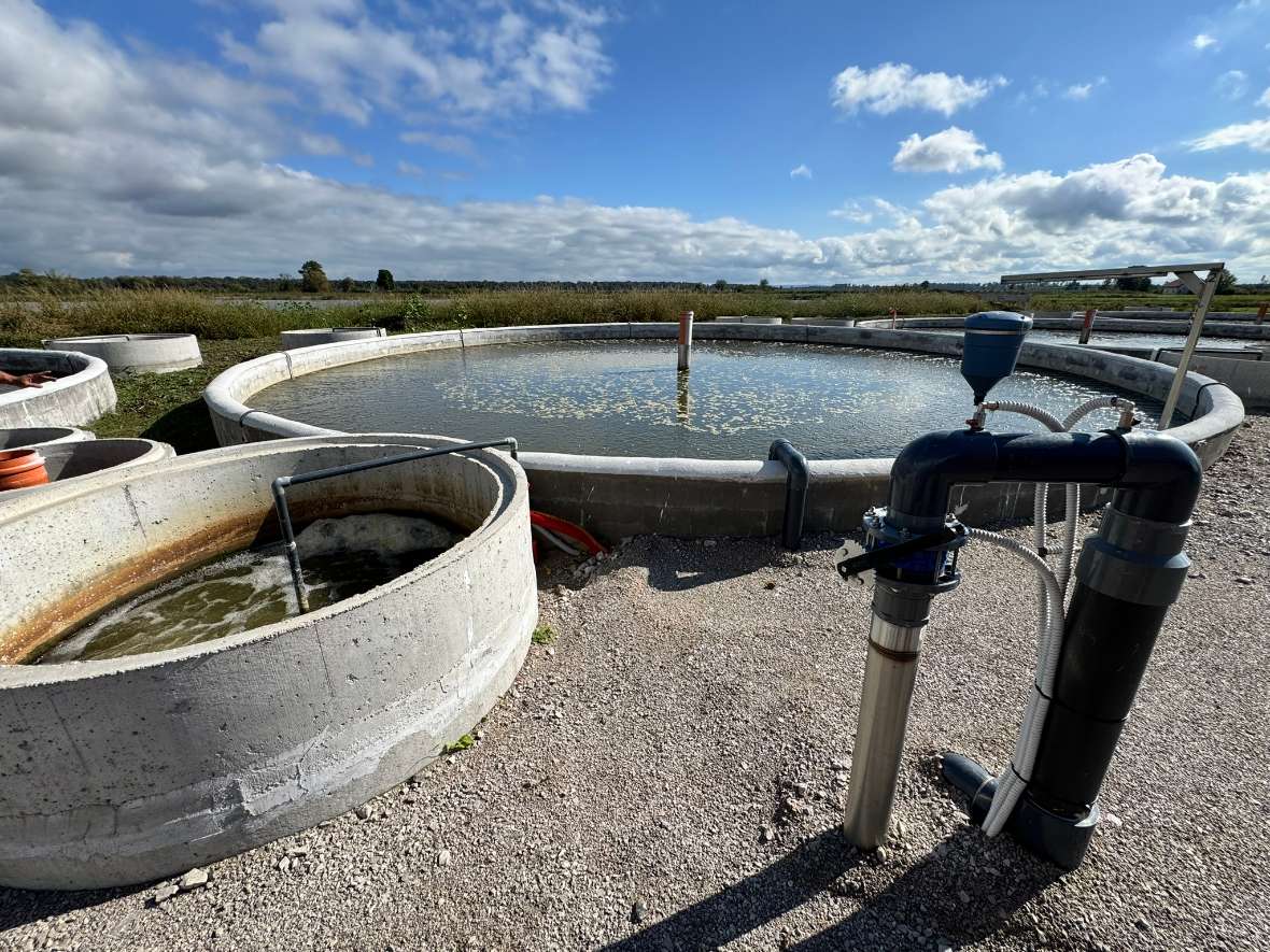 Ort: Teichwirtschaft Crna Mlaka, Kroatien. Runde Becken mit Wasser.