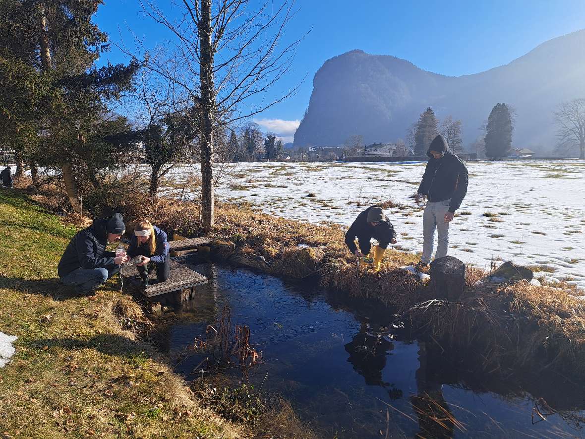 Vier Personen befinden sich an einem kleinen Bach bei der MZB-Probenahme. Ein schneebedecktes Feld und ein Berg im Hintergrund.