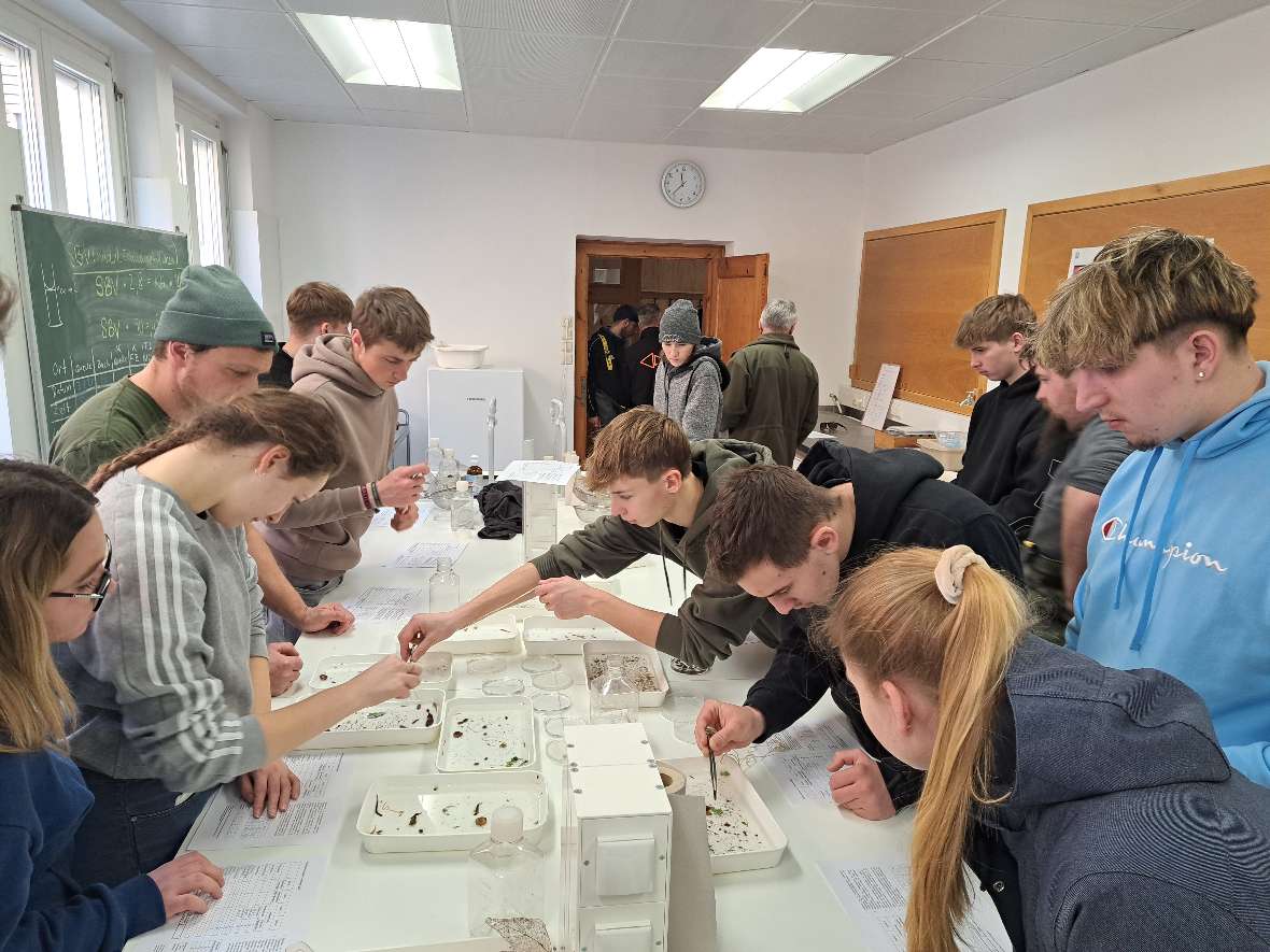 MZB-Bestimmung und Fischbestimmung