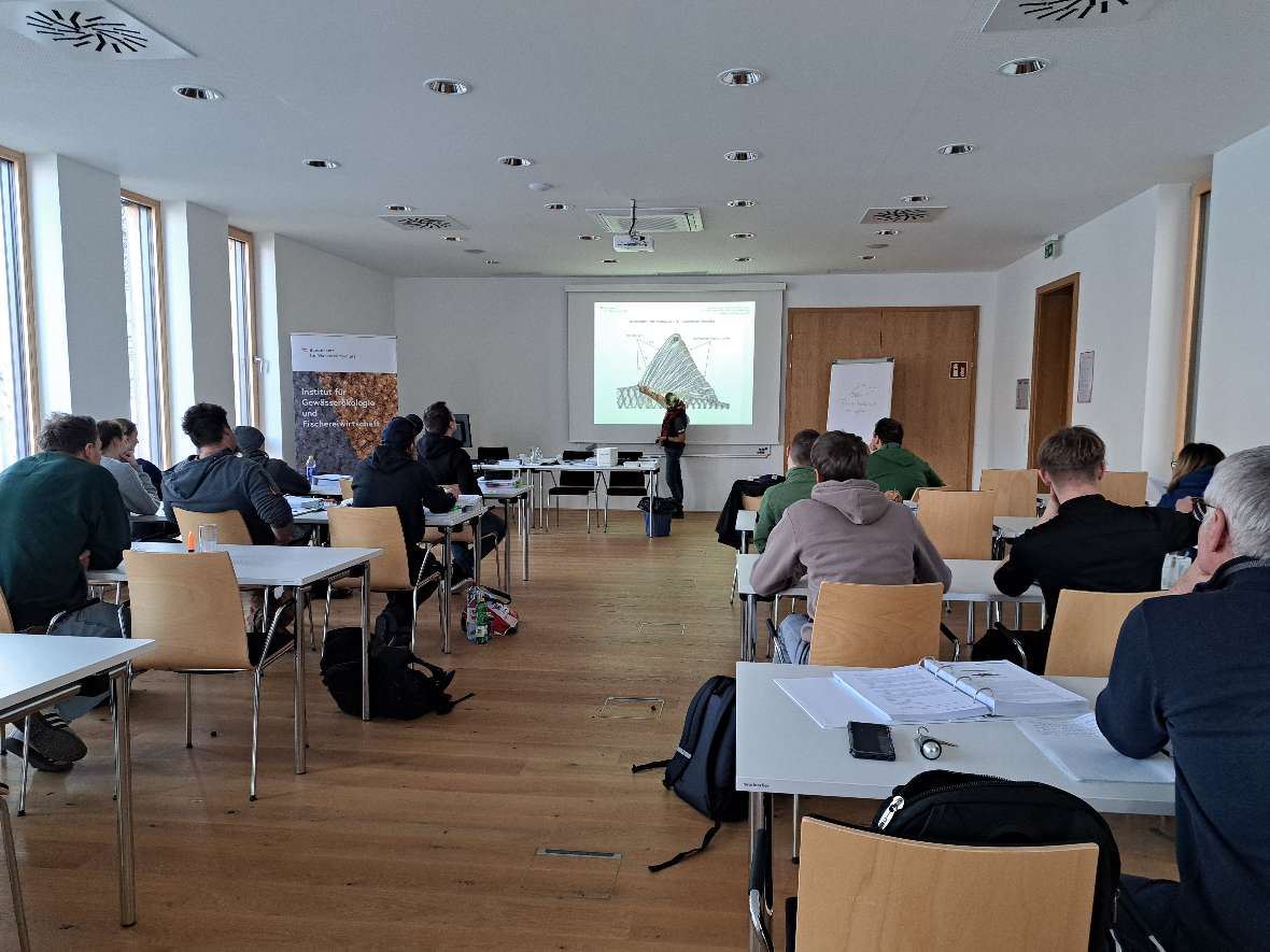 MZB-Bestimmung und Fischbestimmung