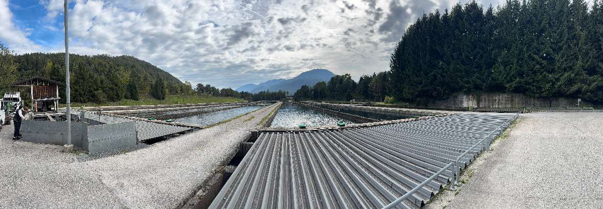 Fischanlage Ferlach, Fa. Glück
