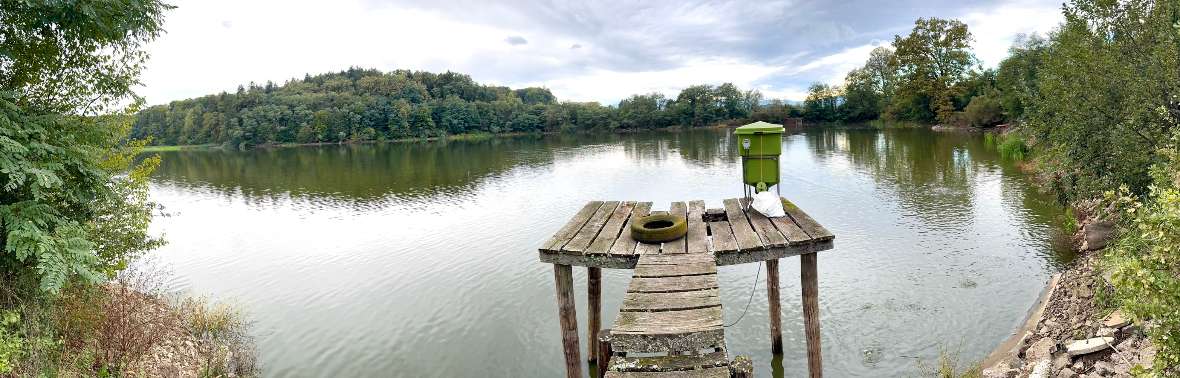 Teich Fütterung Gut Waldschach