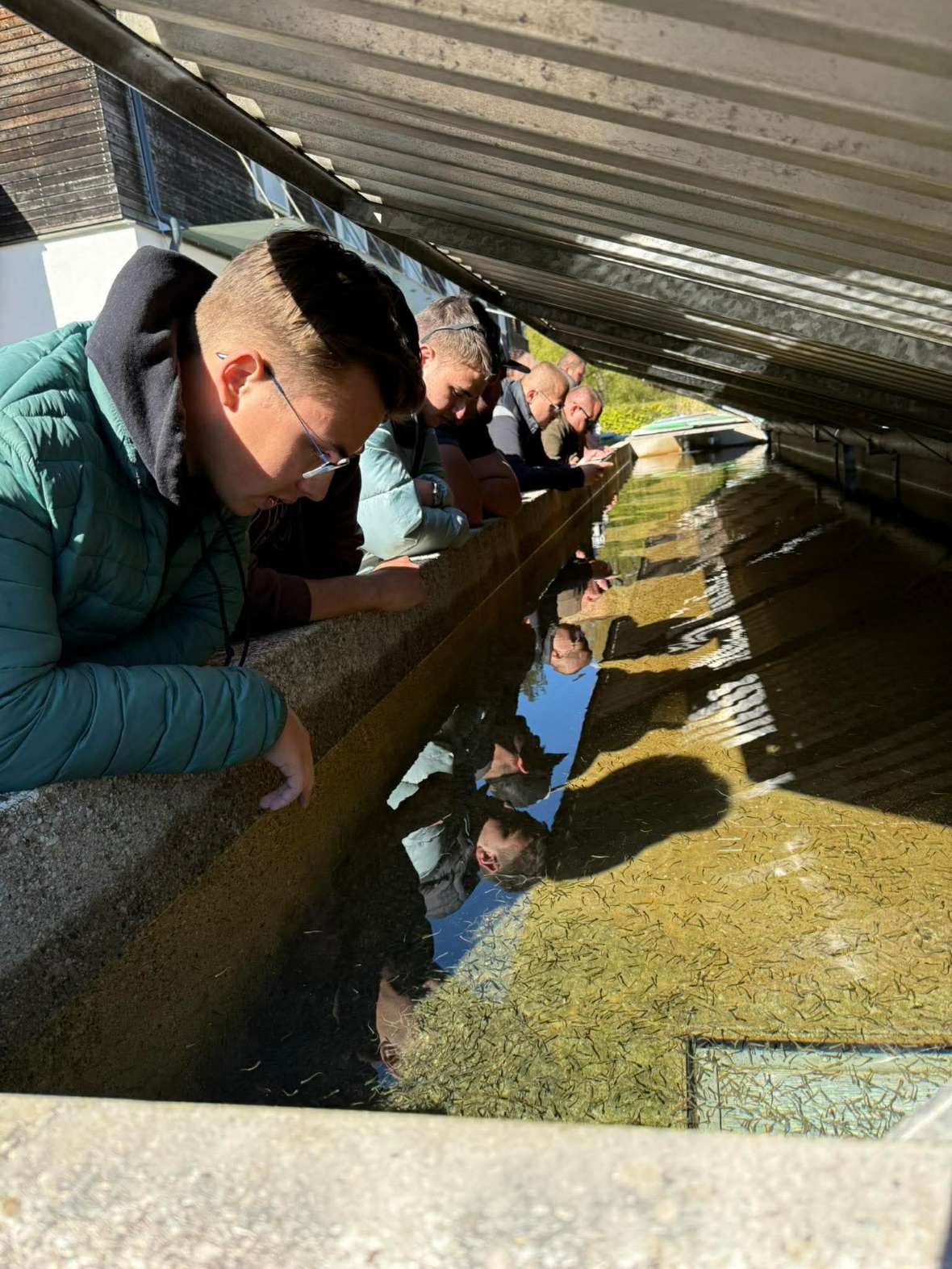 Studierende der Universität MATE beobachten Jungfische in einem Aufzuchtbecken der Fischzuchtanlage Kreuzstein. 