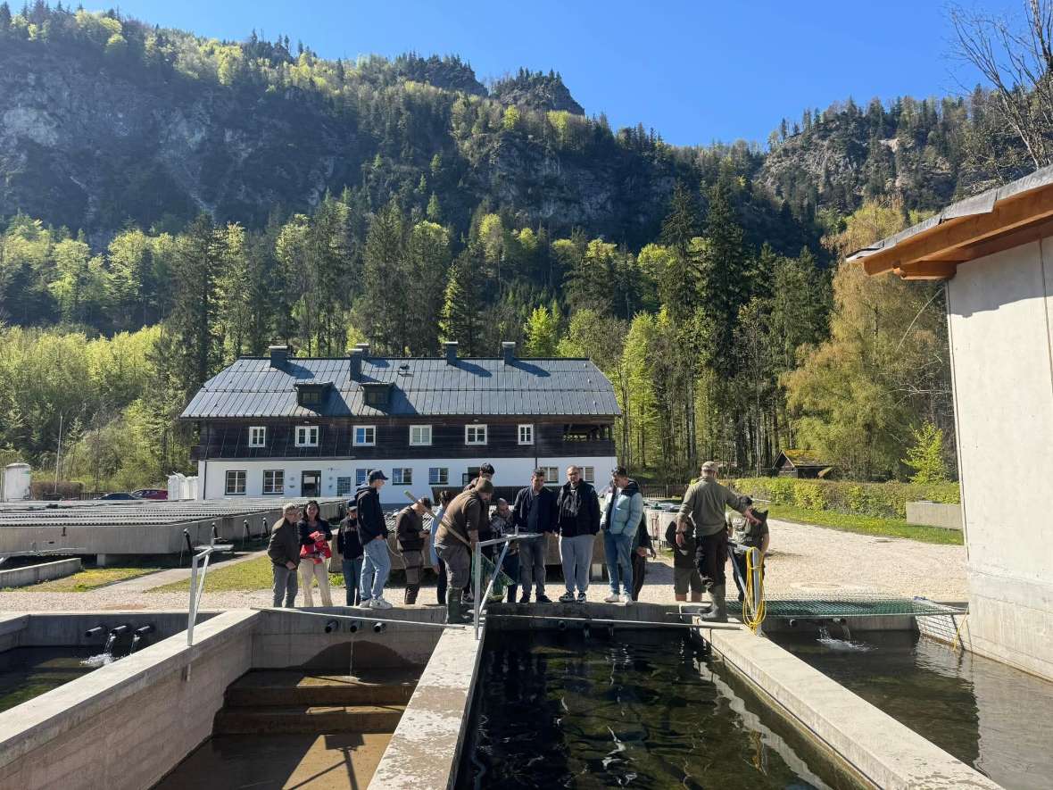 Gruppe ungarischer Studierender und Mitarbeiter des Bundesamts für Wasserwirtschaft bei der Besichtigung der Außenanlagen der Fischzuchtanlage Kreuzstein vor alpiner Bergkulisse. 