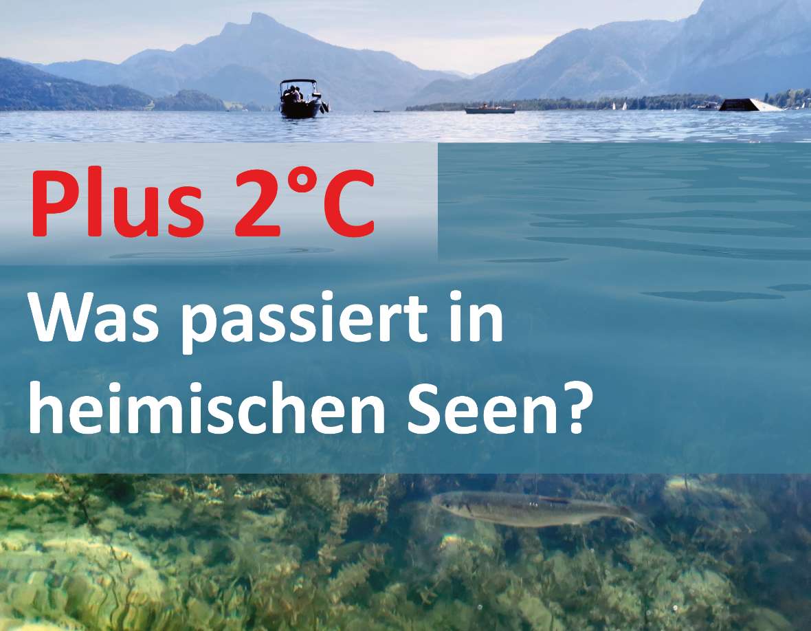 Plus 2 Grad - Was passiert in heimischen Seen?