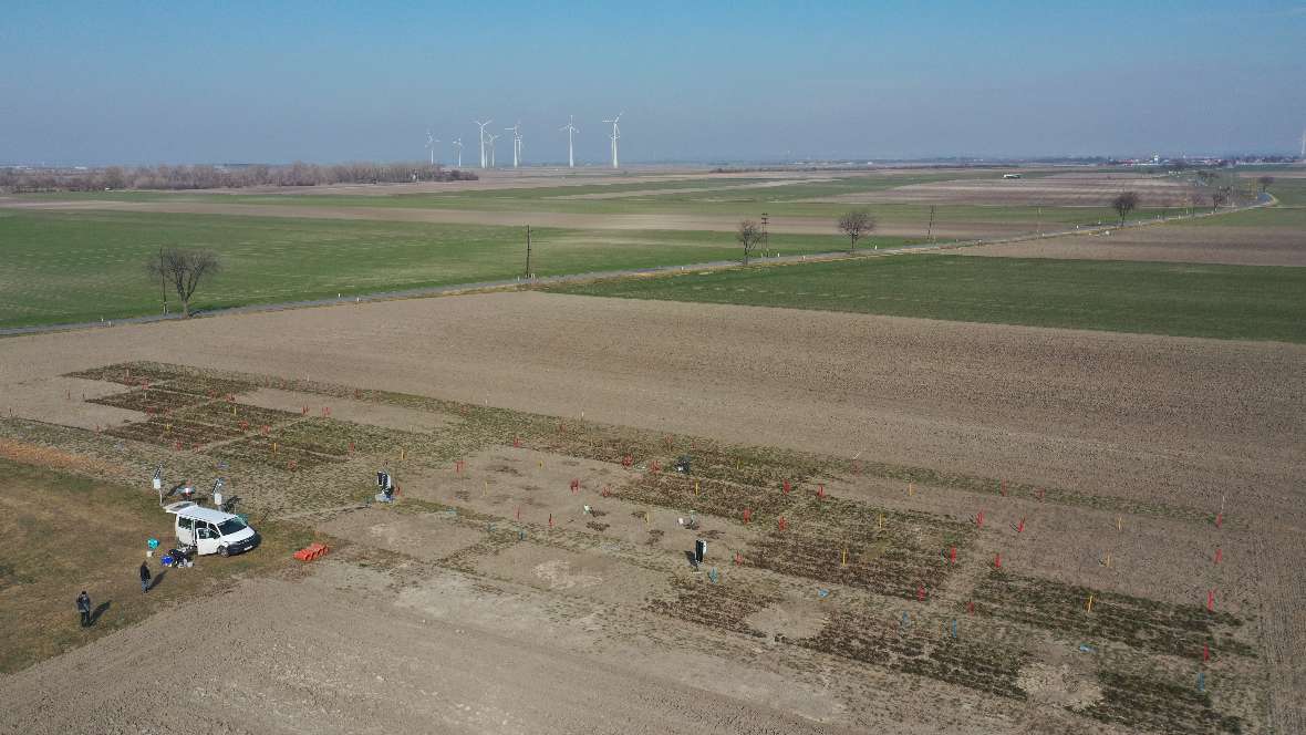 Luftbild des AGRISAN-Begrünungsversuches