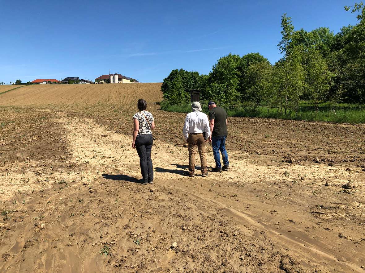 Besichtigung von Erosion im HOAL Petzenkirchen