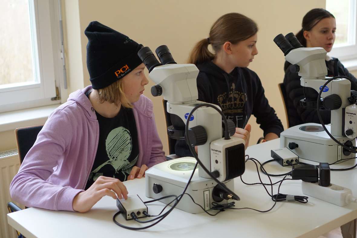 Schülerinnen beim Mikroskopieren 