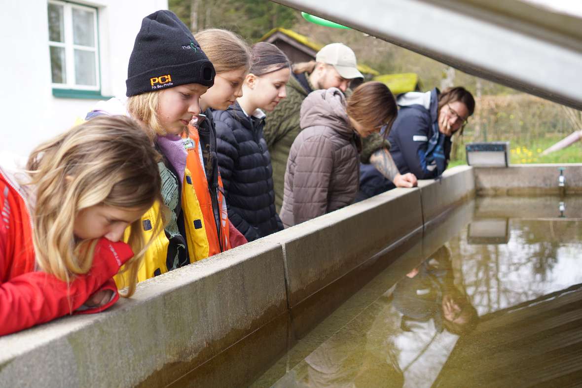 Schülerinnen bei der Führung durch die Fischzucht Kreuzstein