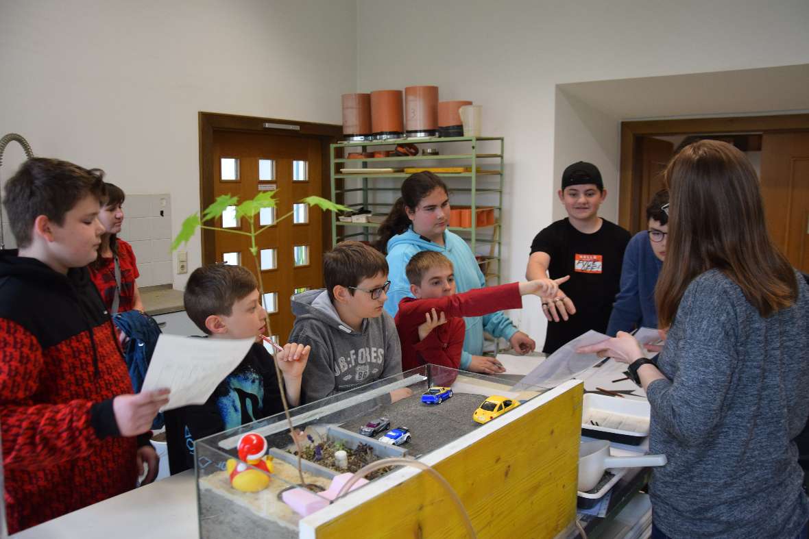 Den Schülerinnen und Schüler werden Abbildungen gezeigt. 