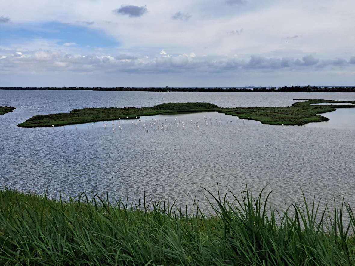 Die „Valli di Comacchio“ im Po Delta haben neben der langen, kulturhistorisch bedeutenden fischereilichen Nutzung, die auch heute noch in extensiverer Form besteht, vor allem auch einen hohen ökologischen Wert, z.B. als Lebensraum für Wasservögel.