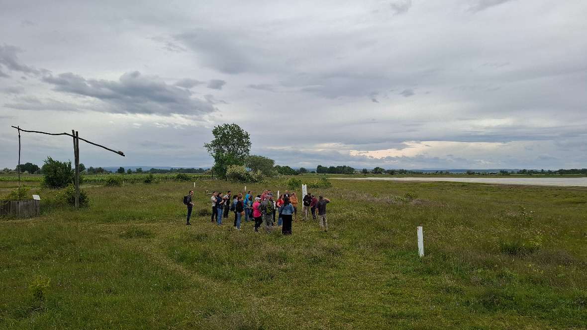 Führung im Nationalpark Neusiedler See – Seewinkel: Die Teilnehmenden erhielten vor Ort Einblicke in die ökologisch wertvollen Salzlacken – ein Lebensraum, der einzigartigen Tier- und Pflanzenarten Lebensraum bietet und in hohem Maße vom Grundwasserhaushalt abhängig ist.