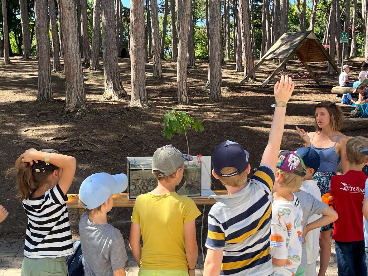 Die Kinder stehen im Wald. Ein Junge hebt die Hand, - Fragen und Diskussion zum Wasserkreislauf und zur Rolle des Bodens in der Stadt.