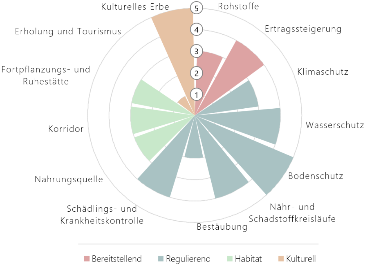 Beispiel für ein Ergebnis aus der Heckenbewertung mit Heck.in – Ergebnisrose