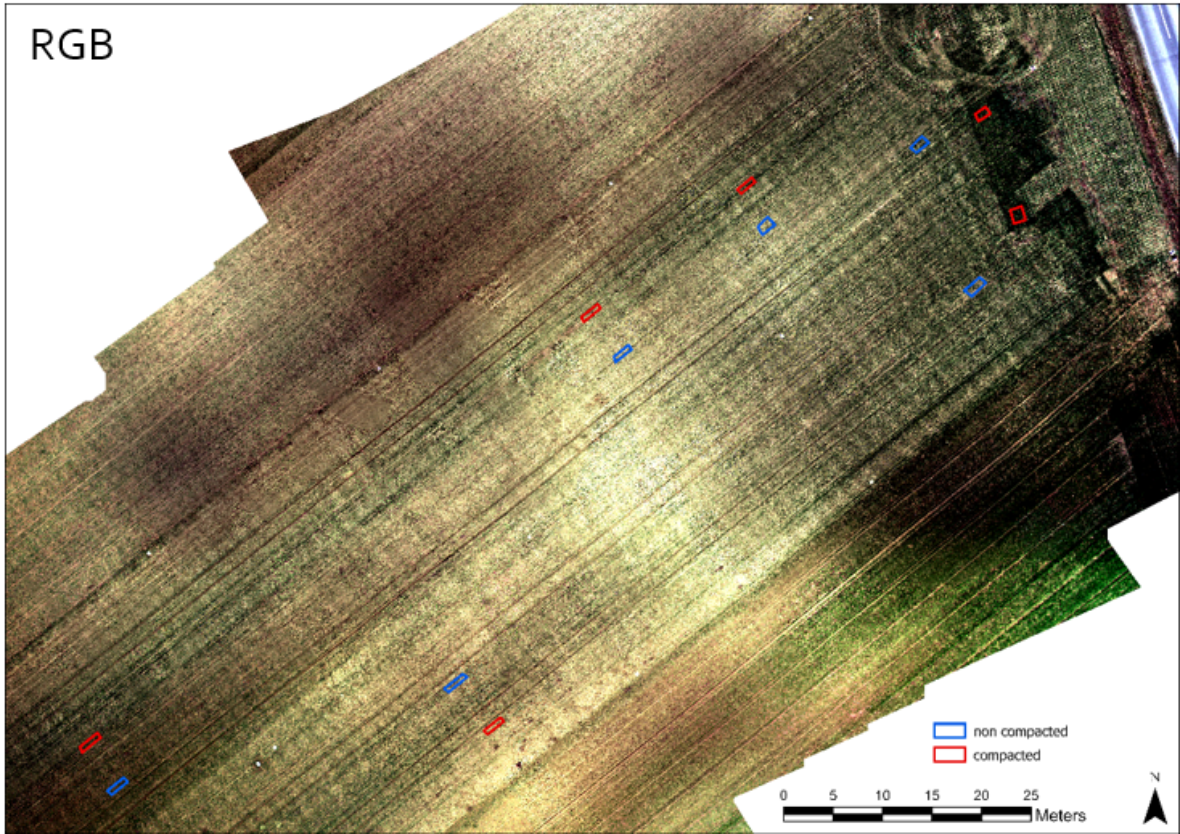 Orthomosaik aus spektralen Luftaufnahmen am Versuchsstandort Herzogbirbaum