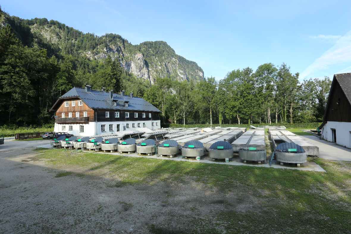 Außenansicht Fischzucht Kreuzstein