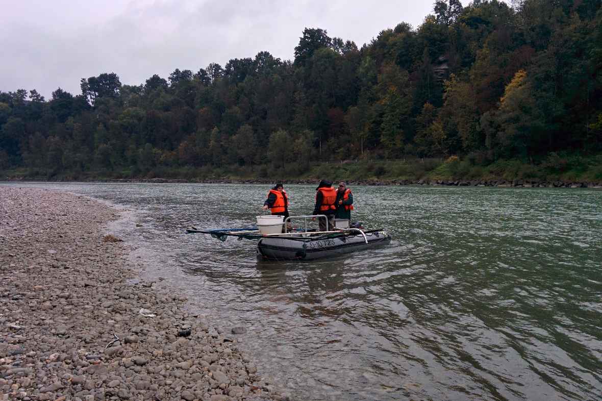 Drei Männer in einem Boot auf einem Fluss, die gerade Proben entnehmen. Links sieht man Land und rechts Wald.