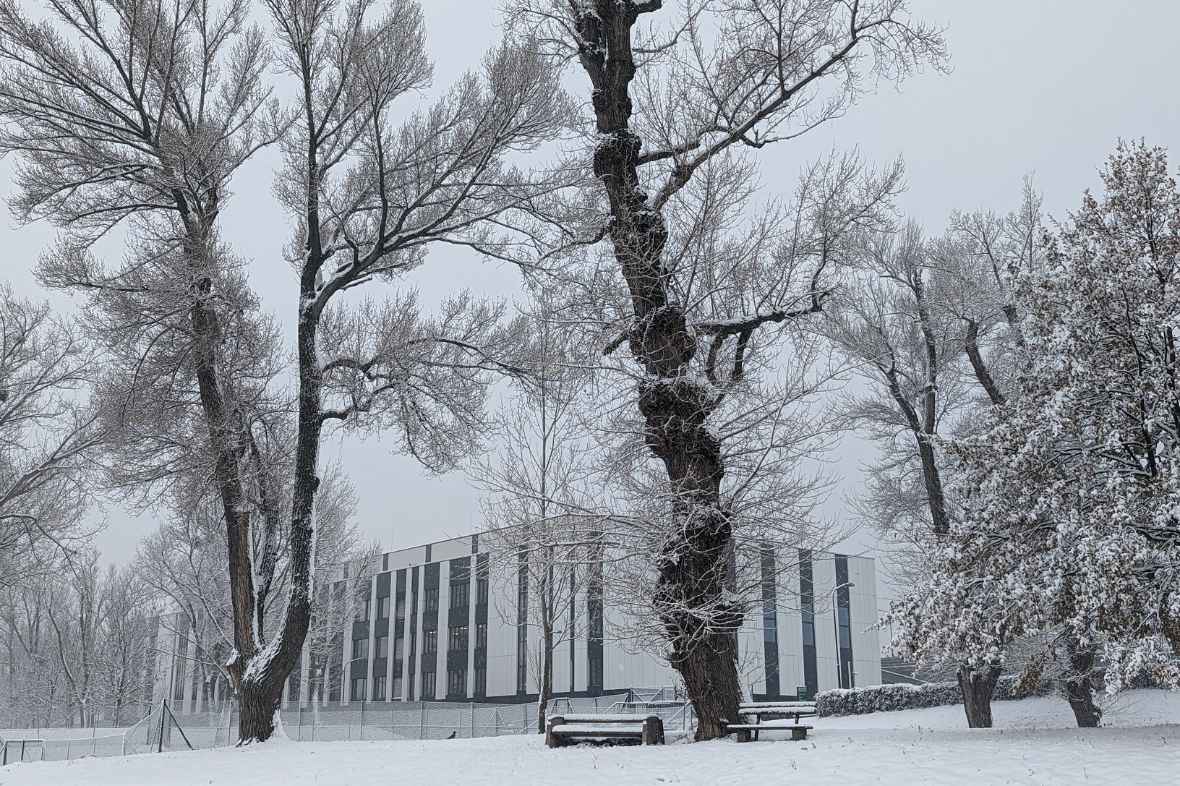 Bildaufnahme schräg seitlich von Donauseite aus. Die Aufnahme erfolgte bei bedecktem Himmel und Schneefall, Schneehöhe circa 10 cm. Bäume, Wiese und Sitzbänke im Park neben unserem Wasserbaulabor sind mit Schnee bedeckt.