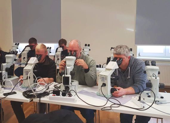 Die Teilnehmer beim Begutachten von Fischschuppen am Mikroskop.