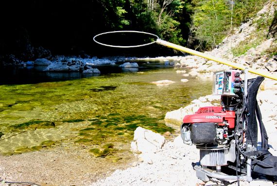 Die Elektrofischereiausrüstung liegt auf den Steinen am Ufer eines Fließgewässers.