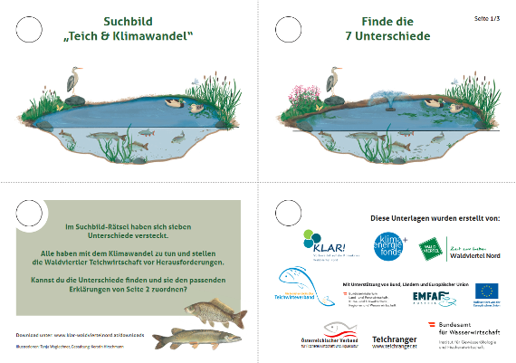 Suchbild: Zwei farbige Illustrationen eines Teichs mit Pflanzen, Vögeln und Fischen.