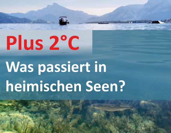 Plus 2 Grad - Was passiert in heimischen Seen?