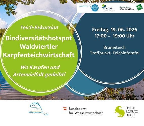 Titelbild Exkursion Biodiversität