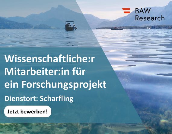 Wissenschaftlicher Mitarbeiter Stellenausschreibung Titelbild 